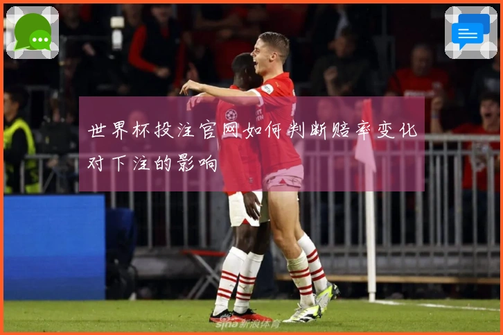 世界杯投注官网如何判断赔率变化对下注的影响