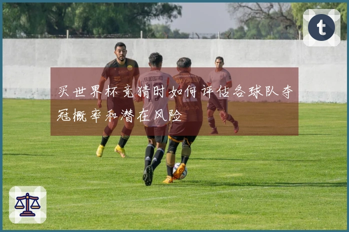 买世界杯竞猜时如何评估各球队夺冠概率和潜在风险